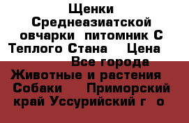 Щенки Среднеазиатской овчарки (питомник С Теплого Стана) › Цена ­ 20 000 - Все города Животные и растения » Собаки   . Приморский край,Уссурийский г. о. 